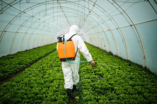 Pest Control Cost in Serenada, TX