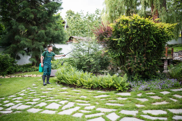 Best Local Pest Control Services  in Serenada, TX