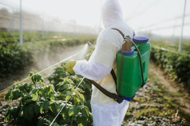 Best Best Pest Control Companies  in Serenada, TX
